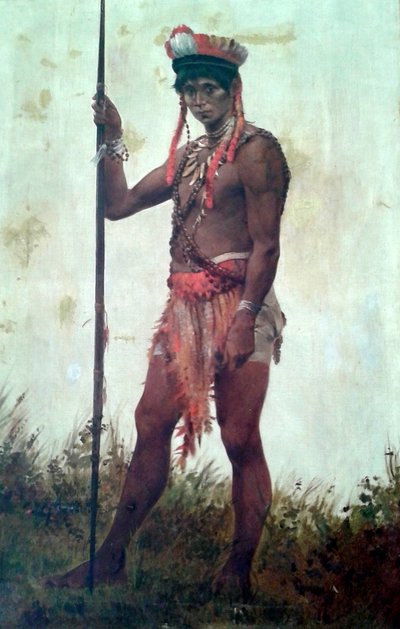 Häuptling der Indianer des Uaupes-Flusses von Decio Villares